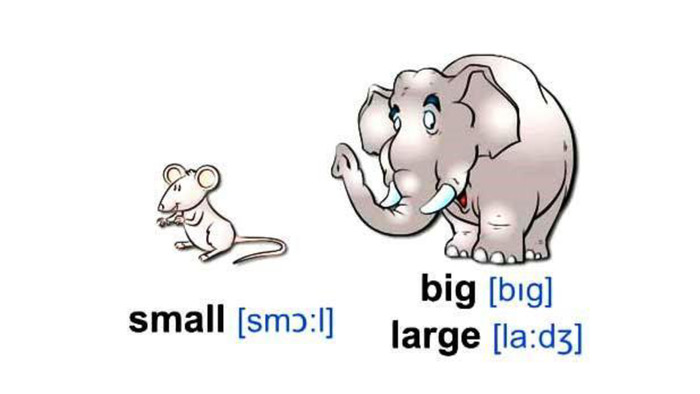 Small big com. Большой маленький на английском языке. Карточки big small. Большой и маленький на английском для детей. Карточки на английском большой маленький.
