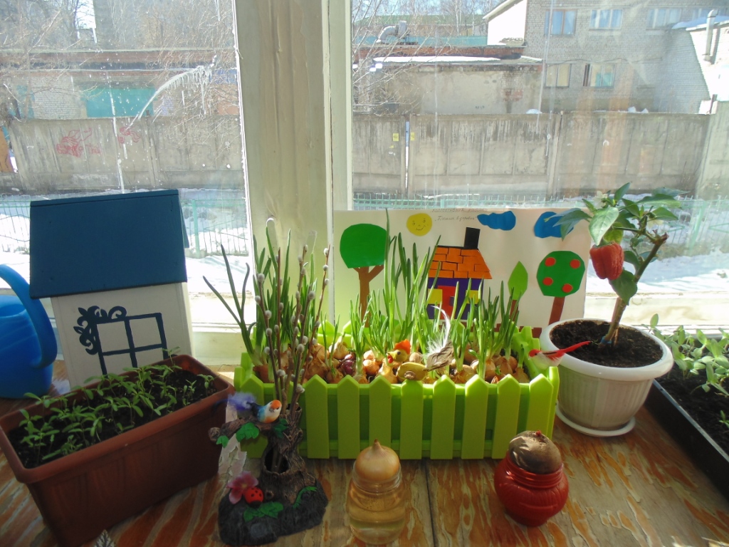 Конкурс сад на окне. Огород на окне в детском саду 2 младшая группа. Огород на окошке в детском саду. Огород на подоконнике в детском саду. Огород на окне подготовительная группа.