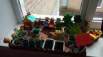 Экологический проект   «Маленькие огородники»