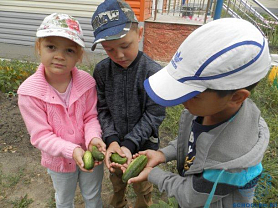 «Главное достижение детского труда - сбор урожая», группы №1