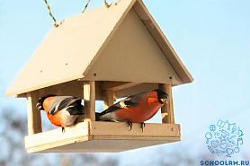 Республиканский конкурс "Птичий дом", посвященный всемирному дню птиц