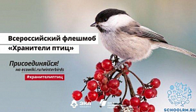 Всероссийский флешмоб «Хранители птиц»
