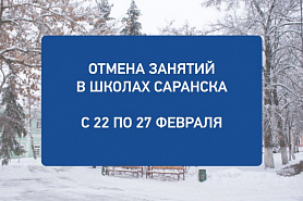 Отмена занятий с 22 по 27 февраля в школах Саранска