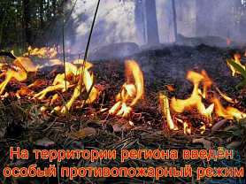 Противопожарный режим на территории Республики Мордовия
