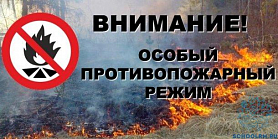 Противопожарный режим на территории Республики Мордовия