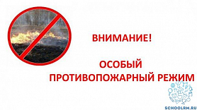 О введении противопожарного режима в Республике Мордовия