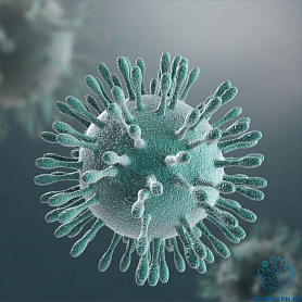 Рекомендации Роспотребнадзора по профилактике новой коронавирусной инфекции (COVID-19)