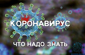Меры профилактики по борьбе с вирусными инфекциями