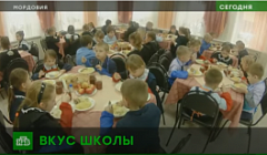 Мордовские дети научились выращивать овощи для школьной столовой