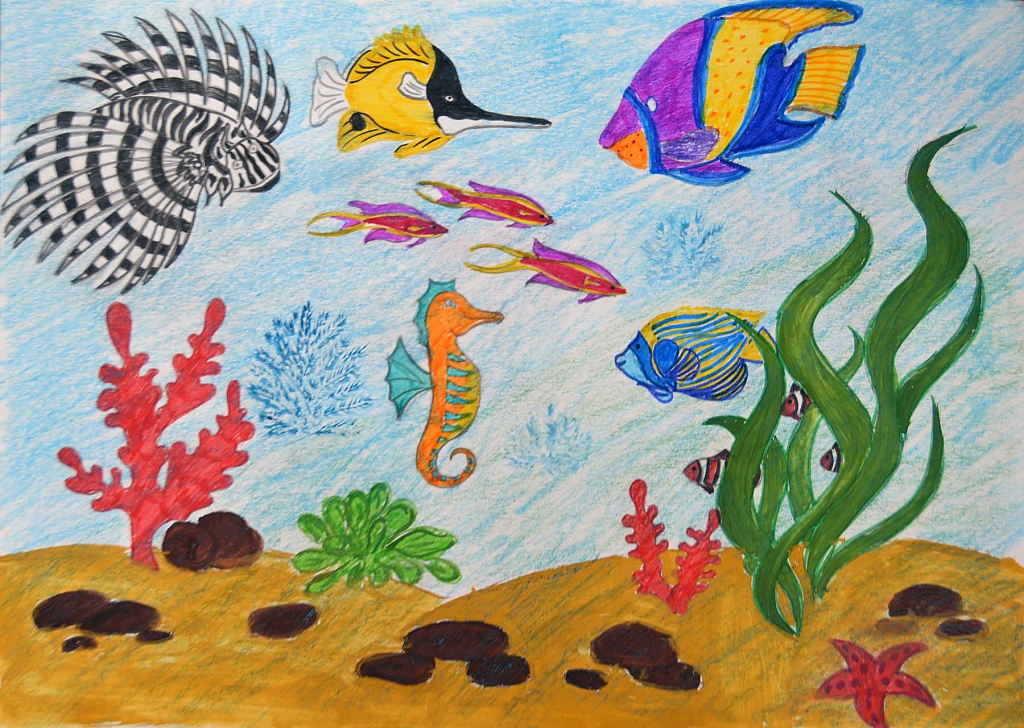 День водных животных в детском саду. Подводный мир рисунок. Детские рисунки. Рисование для дошкольников. Подводные обитатели для детей.