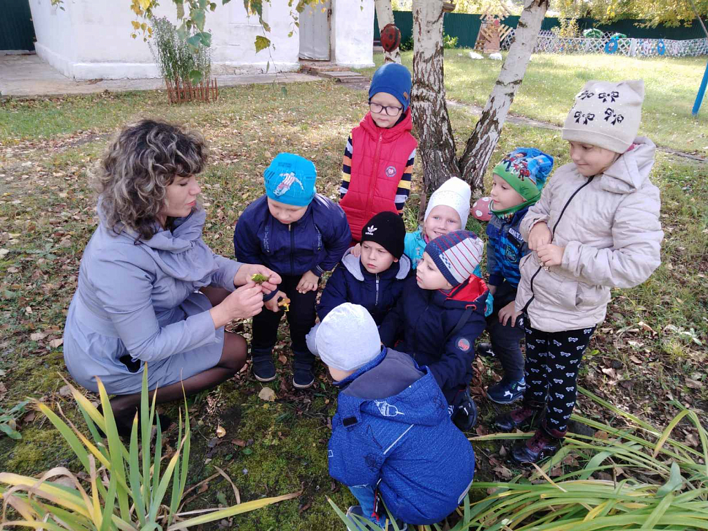 Наблюдение живая природа младшая. Наблюдение за природой в детском саду. Дети наблюдают за природой в детском саду. Наблюдение детей в природе. Наблюдение за сезонными изменениями в природе.