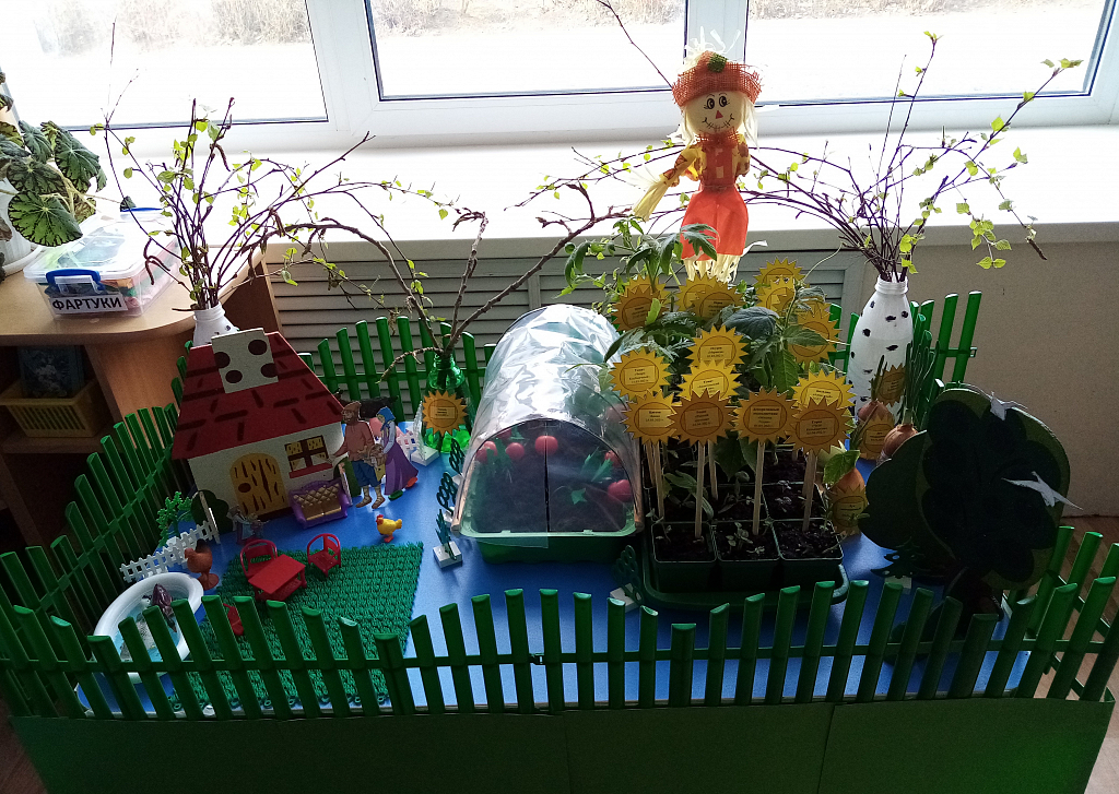 Конкурс огород на окне в детском саду