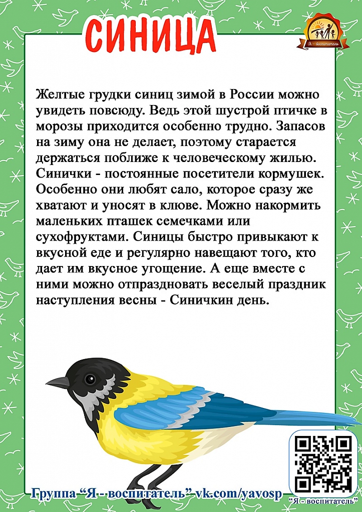 Когда день птиц в 2024 году. День зимующих птиц. 15 Января день зимующих птиц России. Тени зимующих птиц. Всероссийский день зимующих птиц.