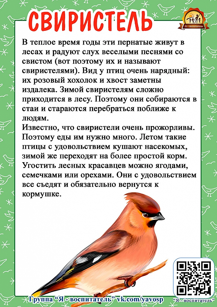 Когда день птиц в 2024 году. Тени зимующих птиц. День зимующих птиц. 15 Января день зимующих птиц. Всероссийский день зимующих птиц.