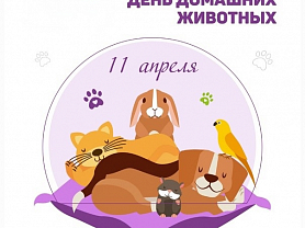 День домашних животных (старшая группа №8)