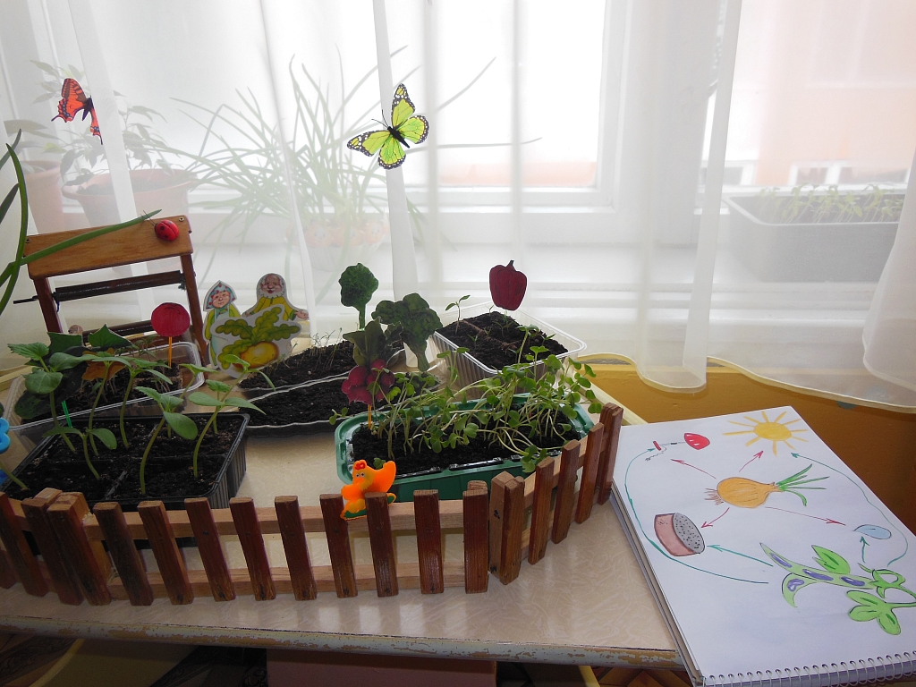Конкурс огород на окне в детском саду