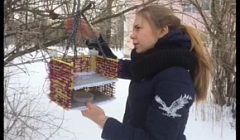 Волонтерский проект "Покормите птиц зимой"