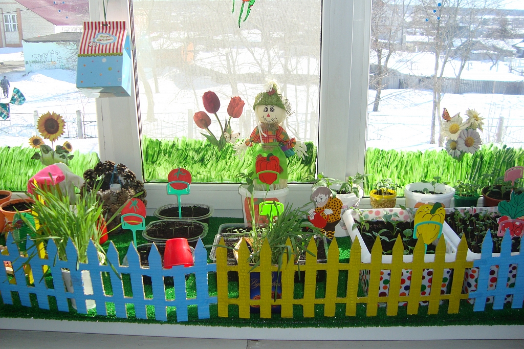 Забор огород на подоконнике в детском саду
